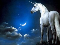 /album/fotogaleria/unicornio-luna-jpg/